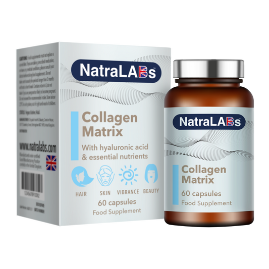 Collagen Matrix